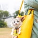 thumbnail image 2 of Bolso de hombro en forma de lienzo de cabeza de muestra en forma de abeja, bolso para mascotas, afloramiento, bolso para mascotas. (Abeja grande), 2 of 3