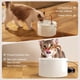 thumbnail image 4 of Fuente de agua de cerámica para gatos DOOOB de 2,1 L con bomba y filtro, color blanco, 4 of 7