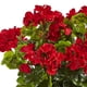 thumbnail image 2 of Planta artificial de geranio casi natural con maceta rectangular, 2 of 3