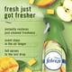 thumbnail image 3 of Ambientador Febreze Air Mist, antiolores, 240 ml, paquete de 3, 3 of 9