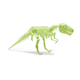 thumbnail image 2 of Esqueleto Dinosaurio T-Rex Luminoso Brainstorm, 2 of 4