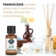 thumbnail image 3 of Aceite esencial de incienso Garden of Life, 15 ml, USDA Organic, 3 of 3