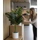 thumbnail image 3 of Planta Artificial Decorativa Elegante Naturaleza Hogar Jhn, 3 of 3