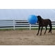 thumbnail image 3 of Pelota inflable Horsemen's Pride Mega Ball de 30 cm para caballos, color azul, 3 of 4