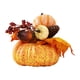 thumbnail image 1 of Accesorios Para Fotos De Flores De Calabaza Artificiales Oficina De Otoño Halloween Acción De Gracias Estilo B, 1 of 5