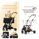 thumbnail image 5 of Coche Para Mascotas Premium 2 En 1 C106 Negro Lubabycas, 5 of 7