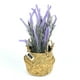 thumbnail image 2 of Planta lavanda artificial 25CM, 2 of 2