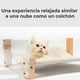 thumbnail image 3 of Pidan® Cama Moderna Mascotas Con Rascador, 3 of 3