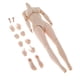 thumbnail image 4 of 1/6 Femenino Cuerpo Inconsútil Big Busto Esculpió Para La Figura De Acción De 12 Pulgadas, 4 of 5