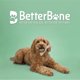 thumbnail image 2 of Juguete masticable BetterBone de densidad media sin nylon para perros, 2 of 6