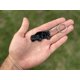 thumbnail image 2 of Llavero FOUR WHEEL BEAST Jeep Grand Cherokee negro, 2 of 6