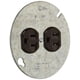 thumbnail image 2 of Receptacle Leviton 5042, 15 A, 125 V, dúplex sobre cubierta de 4 pulgadas, paquete de 4, 2 of 2