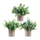 thumbnail image 3 of 3 Piezas De Pequeñas Plantas Falsas En Maceta Para Estante, Sala De Estar, Baño, Estilo E, 3 of 5