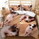 thumbnail image 1 of Pet Dog Baby Animal Quilt Duvet Cover Set Queen Doona Cover Double3-Piece Bedding Set, 1 of 5
