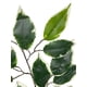 thumbnail image 2 of Rama Ficus Variegada 50cm Artificial, 2 of 3