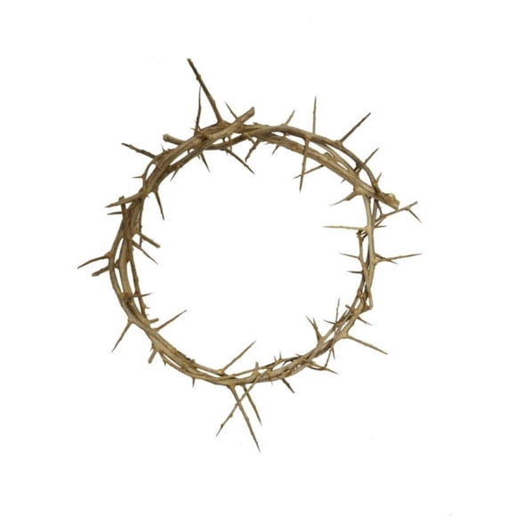 Crown of Thorns Bethlehem Gifts TM, auténtico tamaño natural