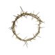 thumbnail image 1 of Crown of Thorns Bethlehem Gifts TM, auténtico tamaño natural, 1 of 2