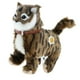thumbnail image 2 of Juguetes Electrónicos De Peluche Para Gatos Juguetes De Peluche Walking Cat Meow Toys Kids Toy Brown, 2 of 5
