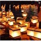 thumbnail image 5 of Linternas flotantes de agua Diagtree 15 cm 20 piezas biodegradables, 5 of 7