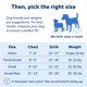 thumbnail image 5 of Arnés PetSafe Easy Walk para perros pequeños, color marrón, 5 of 6