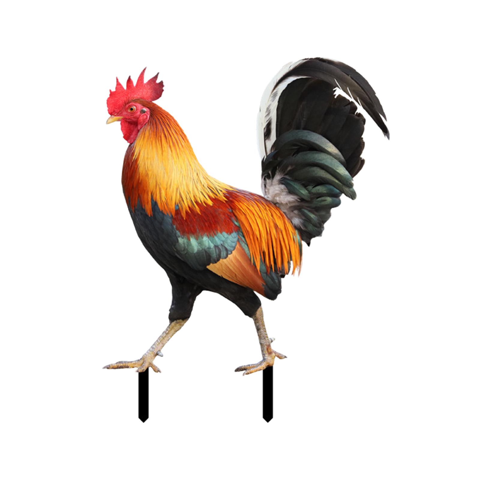 Magideal - Estatua De Gallo, Estaca De Jardín, Estatuilla De Gallo, Adorno Decorativo Para Insertar En El Suelo, Letrero De Césped, Escultura Artística De Animal 212X167X01Cm