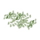thumbnail image 5 of 50 Cuentas Sueltas Con Diseño De Hojas Para Decorar, Para Manualidades, Collares Y Pulseras, 1,1 X 1,9 Cm, Color Verde Oscuro., 5 of 5