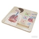 thumbnail image 3 of TABLERO DE PARED SISTEMA RESPIRATORIO, 3 of 3