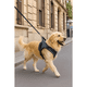 thumbnail image 3 of Correa larga para perros antideslizante 3 metros, 3 of 3