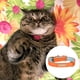 thumbnail image 3 of Collar de cuero para gatos con hebilla ajustable, collar para mascotas pequeñas para gatitos, 3 of 5