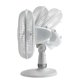 thumbnail image 2 of Ventilador de mesa Lasko D12225 de 12 pulgadas con esfera en soporte - Blanco, 2 of 6
