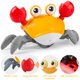 thumbnail image 5 of Hirger de juguete Crawling Crab para bebés con luz y música para bebés de más de 6 millones, 5 of 7