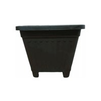 Genérico - Macetero Cuadrado Jardinera 10 Unidades Vivero Florero De Plantas Matero De 10Cm Decoracion Jardin