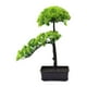 thumbnail image 2 of Pinos Artificiales Bonsai árbol Artesanías Regalos Plantas De Imitación Para Oficina Interior Hotel Verde, 2 of 3