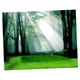 thumbnail image 3 of Tapices impermeables 3d tapiz colgante de pared para uso interior al aire libre e, 3 of 3