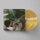 thumbnail image 1 of Música Jagjaguwar V - EDICIÓN LEGENDARIA GOLDEN NUGGET, 1 of 1