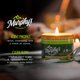 thumbnail image 2 of Velas repelentes de mosquitos Murphy's Naturals, paquete de 3, 2 of 9