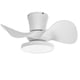 thumbnail image 1 of Ventilador de techo ocioc de 22" con luz LED silenciosa y control remoto, 1 of 8