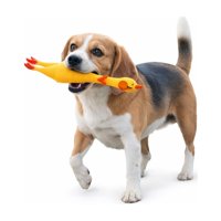 Genérico - Juguete Perro Pollo Chillón L 41 Cm Resistente