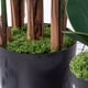 thumbnail image 3 of suxuMhao Musgo Artificial, Musgo Falso para Manualidades y Musgo para Plantas de Interior, 3 Packs de Musgo para Plantas (150G/0.33lb en Total, 50G/0.11lb por Paquete) - Relleno para Macetas para, 3 of 5