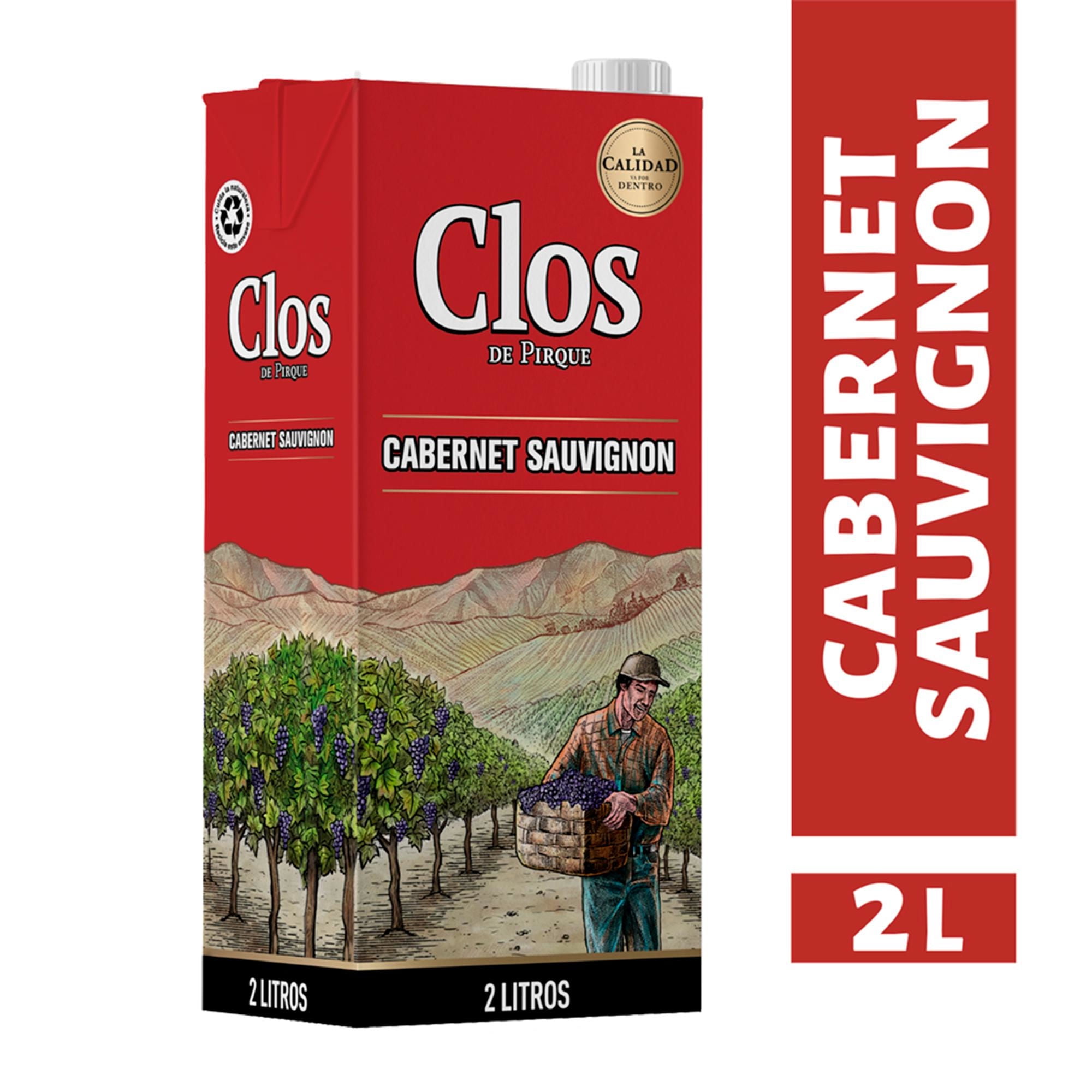 Vino Tinto Cabernet Sauvignon Caja 2 L Clos de Pirque