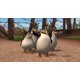 thumbnail image 4 of Videojuego ACTIVISION Madagascar 2: Escape 2 Africa para PS3, 4 of 6