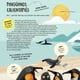 thumbnail image 4 of Trabajo en equipo. Aprender de los animales, 4 of 5