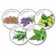 thumbnail image 4 of Collar Calmante Reductor De Estrés Para Gato - Calming, 4 of 8