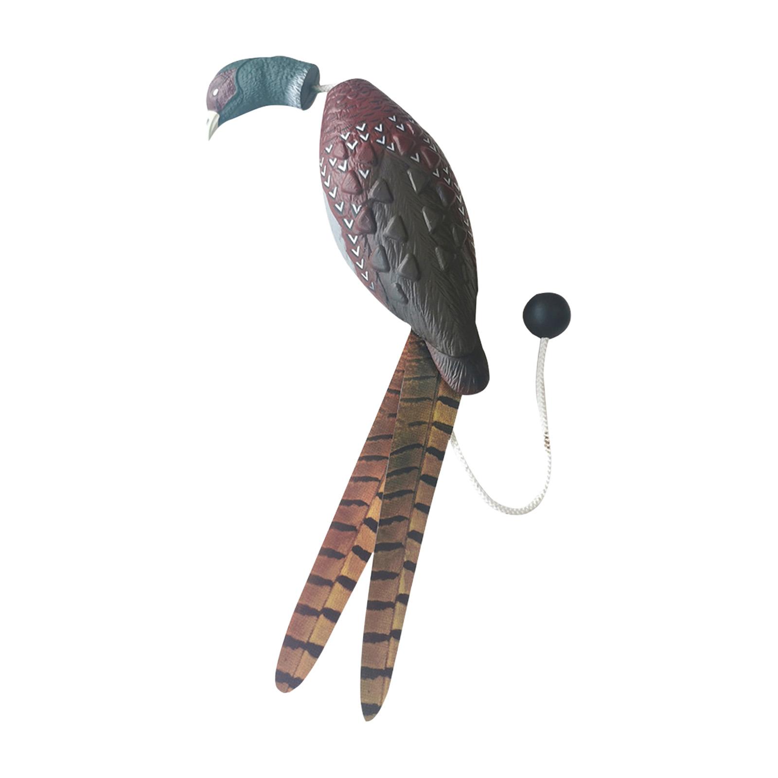 Ioensy - Señuelo De Caza Para Perros, Juguete Para Entrenamiento De Perros, Señuelo De Simulación Para Decoración De Estanque De Patio, Faisán 30X8.5X6Cm