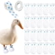 thumbnail image 1 of 20 botas desechables para patas de pato real, Bumble Foot para pato, suministros para mascotas, con vendaje azul, tamaño grande, 1 of 6