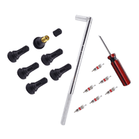 Ioensy - Juego De Instalación De Herramientas Para Quitar Vástagos De Válvulas De Neumáticos, 6 Vástagos De Válvulas Sin Cámara