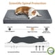 thumbnail image 3 of Cama ortopédica para perros WNPETHOME para perros grandes, impermeable, XL, 3 of 6