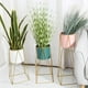 thumbnail image 5 of Porta Macetero Pedestal Maceta Plantas Blanco Dorado Mediano, 5 of 7