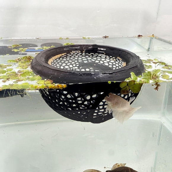 Estampado 3D PLA negro en forma de cueva de peces betta para acuarios, cueva HOZOE
