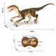 thumbnail image 2 of Dinosaurio Control Remoto 2 4 Ghz. Velociraptor Recargable, 2 of 3